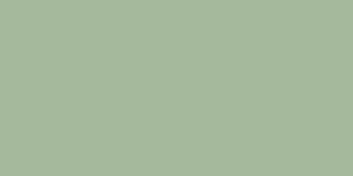 Sage - PANTONE 2404C 15-6313 TPG