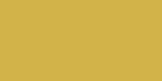 Mustard - PANTONE 4018C 14-0952 TPG