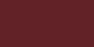 Burgundy - PANTONE 4101C 19-1724 TPG