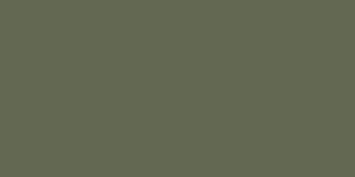 Olive - PANTONE 4223C 18-0316 TPG