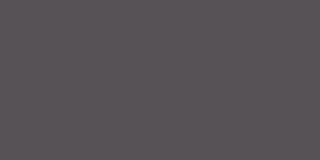 Graphite - PANTONE 4294C 19-3917 TPG