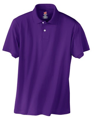 Hanes EcoSmart 5.2-Ounce Jersey Knit Sport Shirt (Purple)