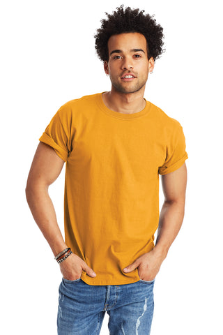 Hanes Authentic 100% Cotton T-Shirt (Ash*)