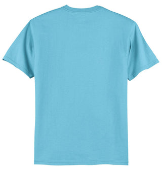 Hanes Authentic 100% Cotton T-Shirt (Aquatic Blue)