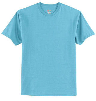 Hanes Authentic 100% Cotton T-Shirt (Aquatic Blue)