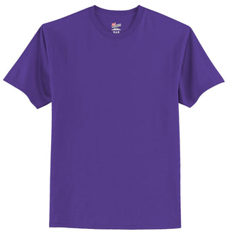 Hanes Authentic 100% Cotton T-Shirt (Purple)