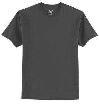 Hanes Authentic 100% Cotton T-Shirt (Smoke Grey)