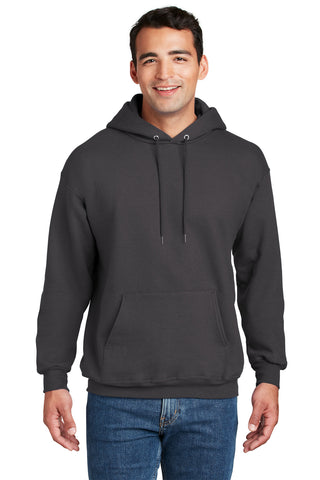 Hanes Ultimate Cotton Pullover Hooded Sweatshirt (Smoke Gray)