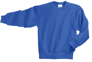 Port & Company Youth Core Fleece Crewneck Sweatshirt (Royal)