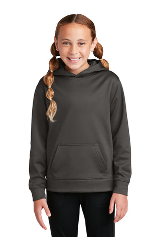 Sport-Tek Youth Sport-Wick Fleece Hooded Pullover (Graphite)